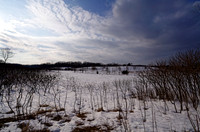 Elm Creek 12