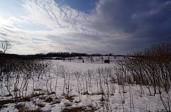 Elm Creek 12