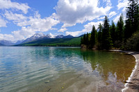 Montana 29