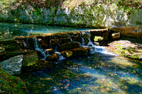 Dogwood Canyon 13